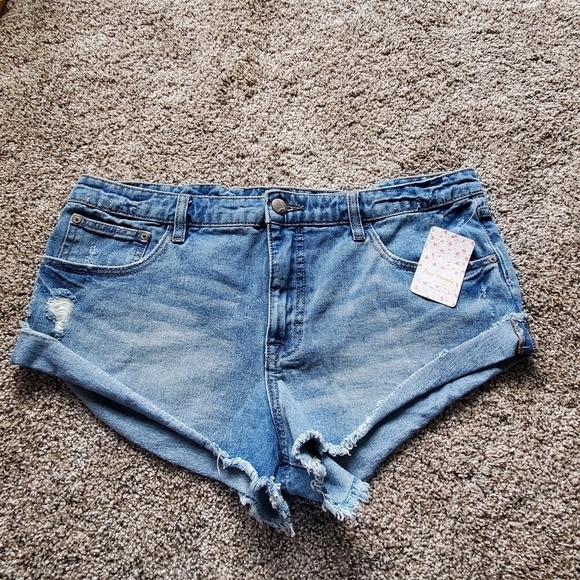 Free People Pants - FREE PEOPLE  FELTON denim shorts. NWT. SZ 31. DISTRESSED